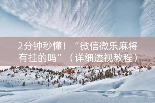 2分钟秒懂！“微信微乐麻将有挂的吗”（详细透视教程）-哔哩哔哩