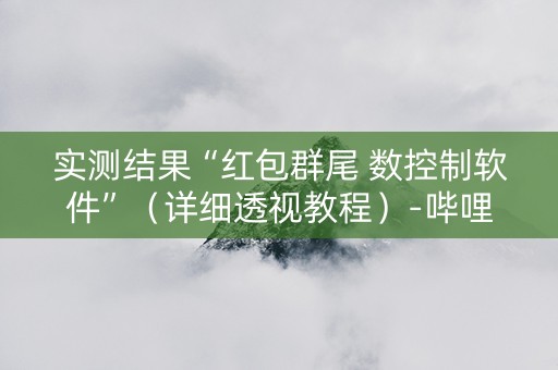 实测结果“红包群尾 数控制软件”（详细透视教程）-哔哩哔哩