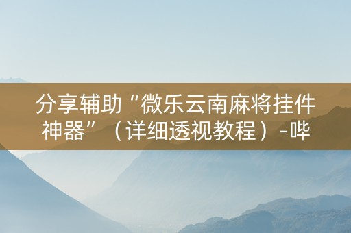 分享辅助“微乐云南麻将挂件神器”（详细透视教程）-哔哩哔哩