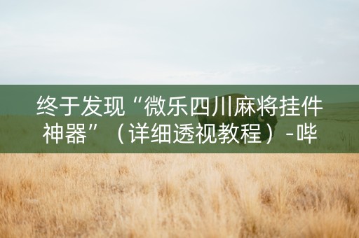 终于发现“微乐四川麻将挂件神器”（详细透视教程）-哔哩哔哩