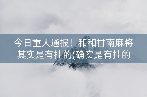 今日重大通报！和和甘南麻将其实是有挂的(确实是有挂的)
