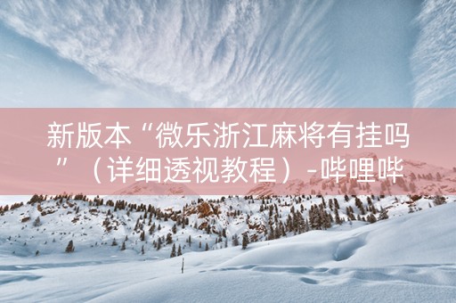新版本“微乐浙江麻将有挂吗”（详细透视教程）-哔哩哔哩