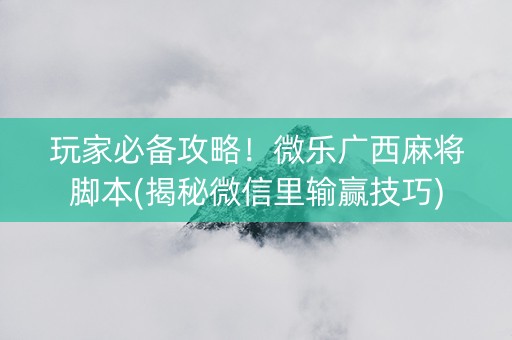 玩家必备攻略！微乐广西麻将脚本(揭秘微信里输赢技巧)