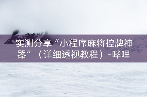 实测分享“小程序麻将控牌神器”（详细透视教程）-哔哩哔哩