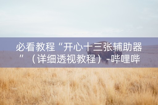 必看教程“开心十三张辅助器”（详细透视教程）-哔哩哔哩
