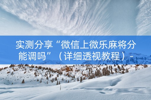 实测分享“微信上微乐麻将分能调吗”（详细透视教程）-哔哩哔哩