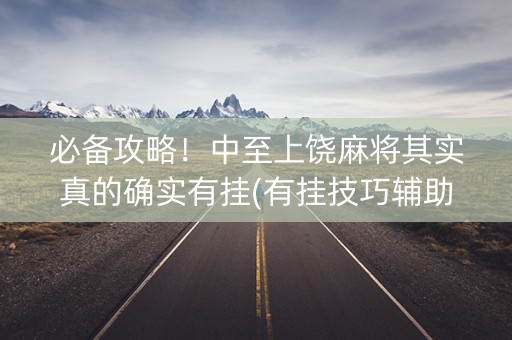 必备攻略！中至上饶麻将其实真的确实有挂(有挂技巧辅助器)