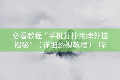 必看教程“手机打扑克牌外挂揭秘”（详细透视教程）-哔哩哔哩