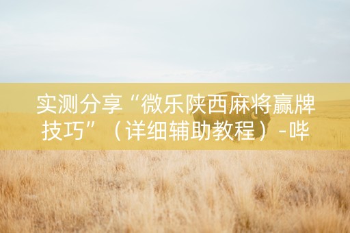 实测分享“微乐陕西麻将赢牌技巧”（详细辅助教程）-哔哩哔哩