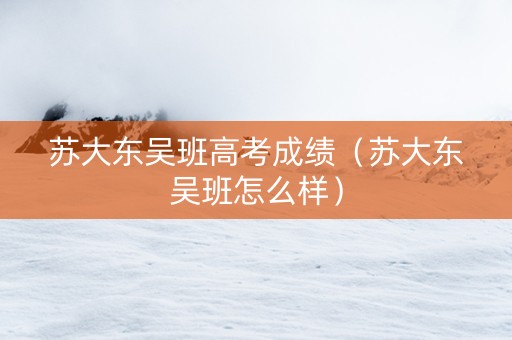 苏大东吴班高考成绩（苏大东吴班怎么样）