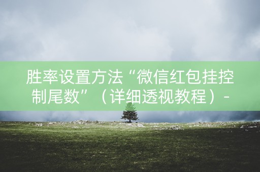 胜率设置方法“微信红包挂控制尾数”（详细透视教程）-哔哩哔哩