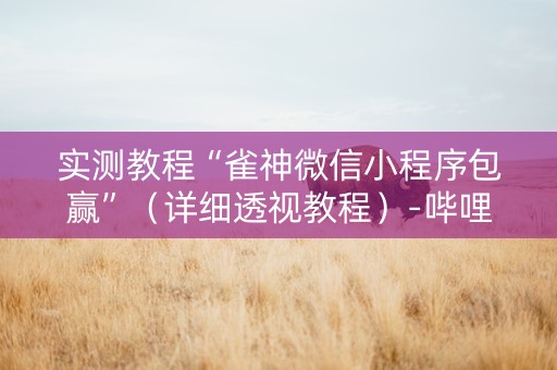 实测教程“雀神微信小程序包赢”（详细透视教程）-哔哩哔哩