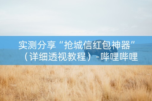 实测分享“抢城信红包神器”（详细透视教程）-哔哩哔哩