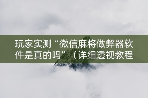 玩家实测“微信麻将做弊器软件是真的吗”（详细透视教程）-哔哩哔哩