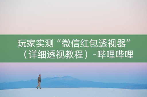 玩家实测“微信红包透视器”（详细透视教程）-哔哩哔哩