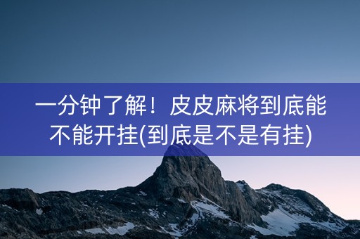 一分钟了解！皮皮麻将到底能不能开挂(到底是不是有挂)