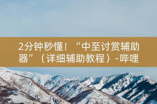 2分钟秒懂！“中至讨赏辅助器”（详细辅助教程）-哔哩哔哩