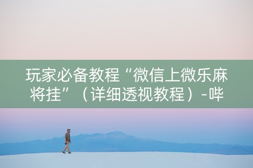 玩家必备教程“微信上微乐麻将挂”（详细透视教程）-哔哩哔哩