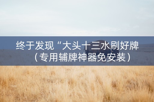 终于发现“大头十三水刷好牌（专用辅牌神器免安装）