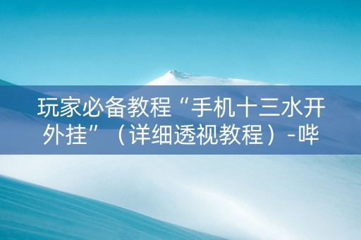 玩家必备教程“手机十三水开外挂”（详细透视教程）-哔哩哔哩