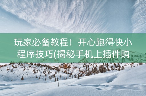 玩家必备教程！开心跑得快小程序技巧(揭秘手机上插件购买)