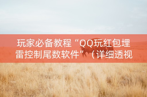 玩家必备教程“QQ玩红包埋雷控制尾数软件”（详细透视教程）-哔哩哔哩