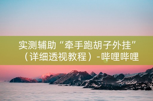 实测辅助“牵手跑胡子外挂”（详细透视教程）-哔哩哔哩