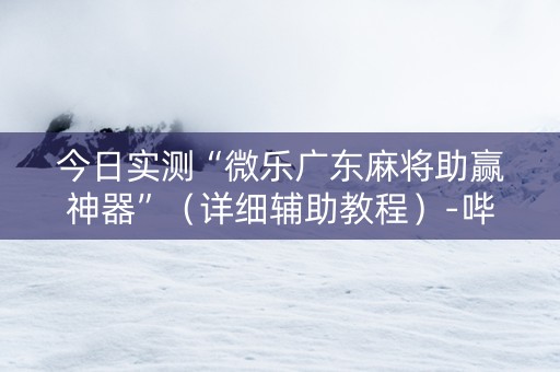 今日实测“微乐广东麻将助赢神器”（详细辅助教程）-哔哩哔哩