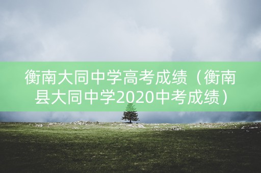 衡南大同中学高考成绩（衡南县大同中学2020中考成绩）
