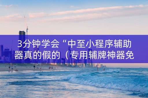 3分钟学会“中至小程序辅助器真的假的（专用辅牌神器免安装）