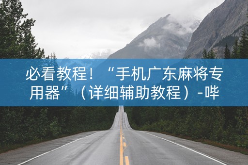 必看教程！“手机广东麻将专用器”（详细辅助教程）-哔哩哔哩