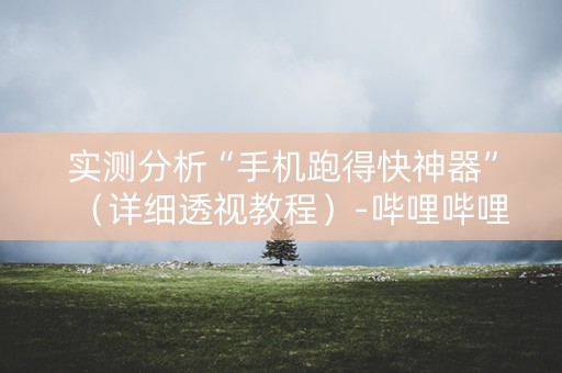 实测分析“手机跑得快神器”（详细透视教程）-哔哩哔哩
