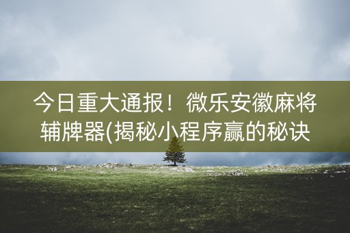 今日重大通报！微乐安徽麻将辅牌器(揭秘小程序赢的秘诀)