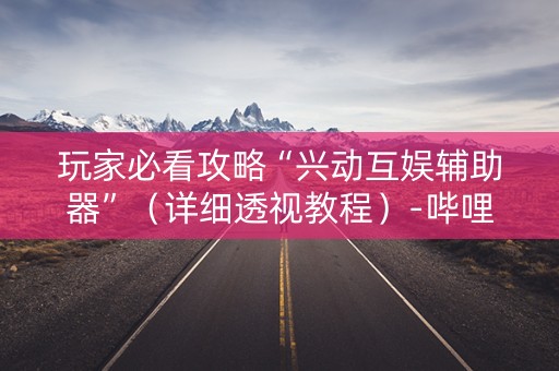 玩家必看攻略“兴动互娱辅助器”（详细透视教程）-哔哩哔哩