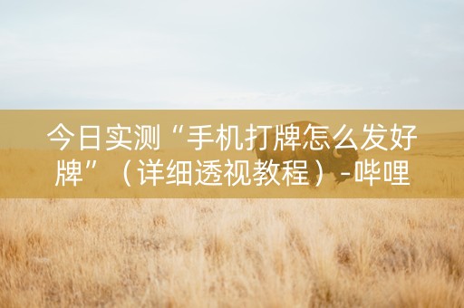 今日实测“手机打牌怎么发好牌”（详细透视教程）-哔哩哔哩