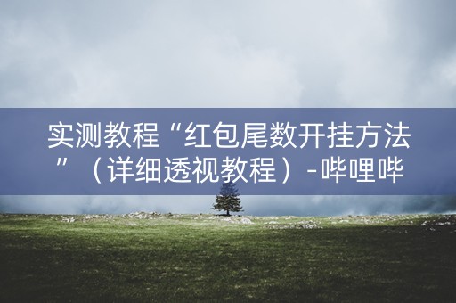 实测教程“红包尾数开挂方法”（详细透视教程）-哔哩哔哩
