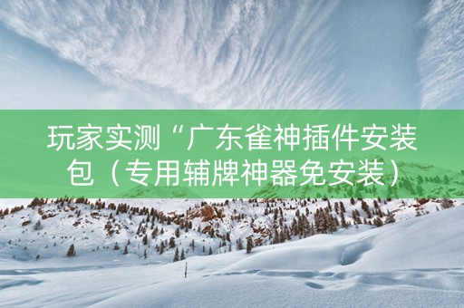 玩家实测“广东雀神插件安装包（专用辅牌神器免安装）