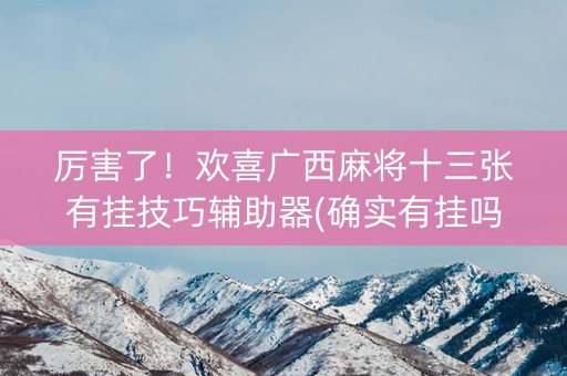 厉害了！欢喜广西麻将十三张有挂技巧辅助器(确实有挂吗)