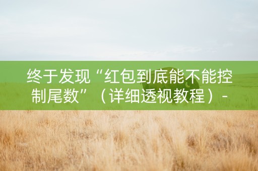 终于发现“红包到底能不能控制尾数”（详细透视教程）-哔哩哔哩