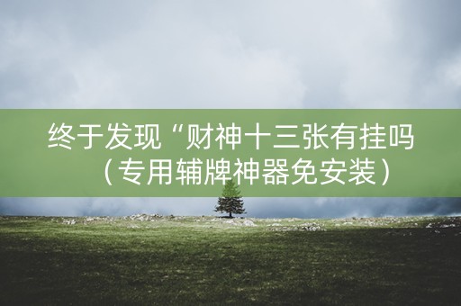 终于发现“财神十三张有挂吗（专用辅牌神器免安装）