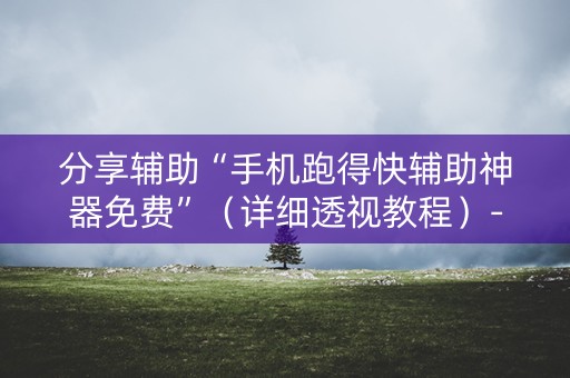 分享辅助“手机跑得快辅助神器免费”（详细透视教程）-哔哩哔哩
