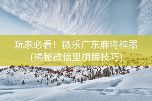 玩家必看！微乐广东麻将神器(揭秘微信里胡牌技巧)