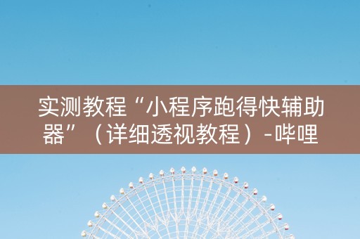 实测教程“小程序跑得快辅助器”（详细透视教程）-哔哩哔哩