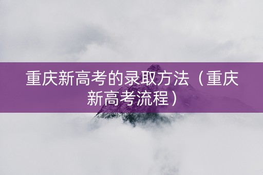 重庆新高考的录取方法（重庆新高考流程）