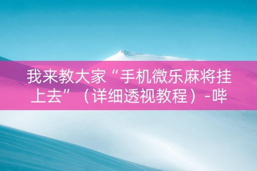 我来教大家“手机微乐麻将挂上去”（详细透视教程）-哔哩哔哩