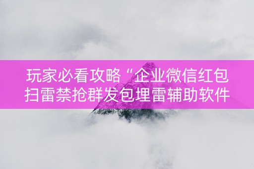 玩家必看攻略“企业微信红包扫雷禁抢群发包埋雷辅助软件”（详细透视教程）-哔哩哔哩