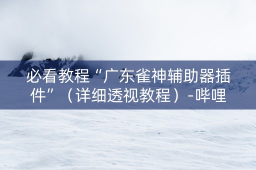 必看教程“广东雀神辅助器插件”（详细透视教程）-哔哩哔哩