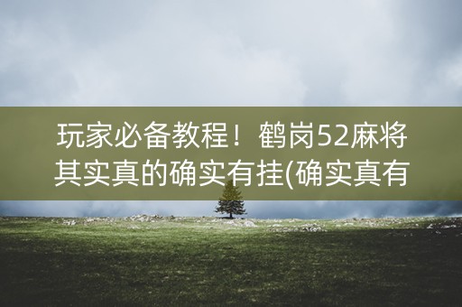 玩家必备教程！鹤岗52麻将其实真的确实有挂(确实真有挂)