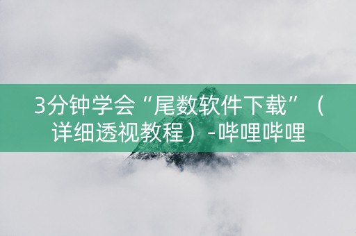 3分钟学会“尾数软件下载”（详细透视教程）-哔哩哔哩