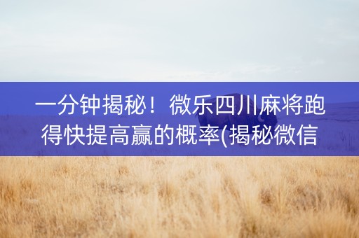一分钟揭秘！微乐四川麻将跑得快提高赢的概率(揭秘微信里赢的诀窍)